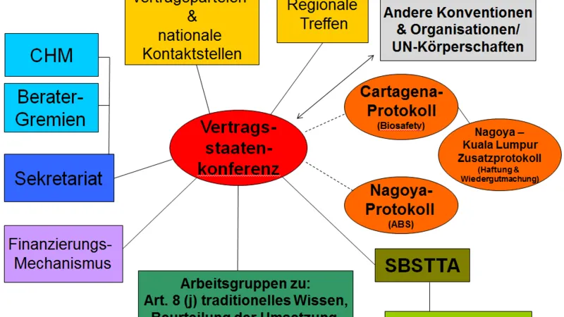 Rubrik_Naturschutz-Biodiversitaet-csm_Struktur_CBD_dt_3d368ecc2a